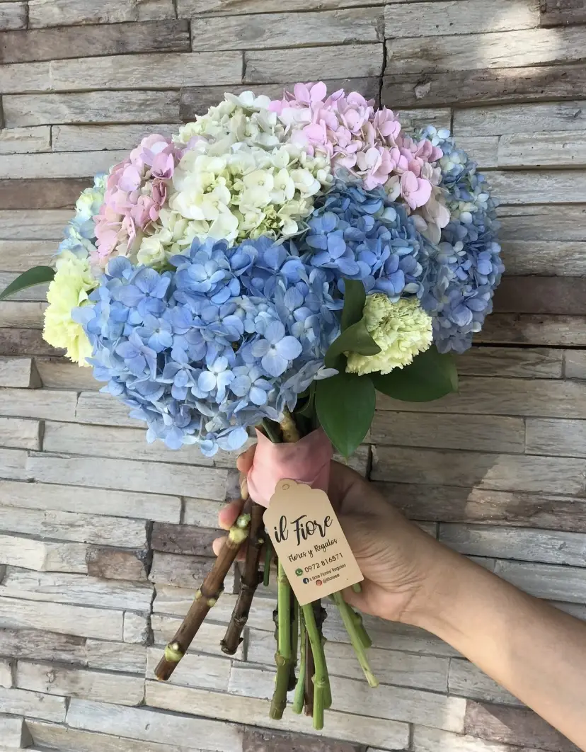 Flower Image
